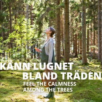 Känn lugnet bland träden, feel the calmness among the trees